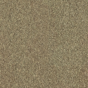 ModernOffice Carpet