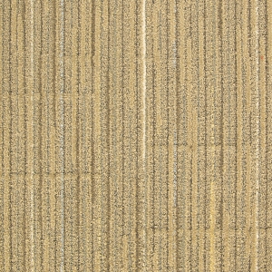办公地毯-ID:153975964