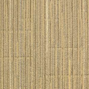 ModernOffice Carpet