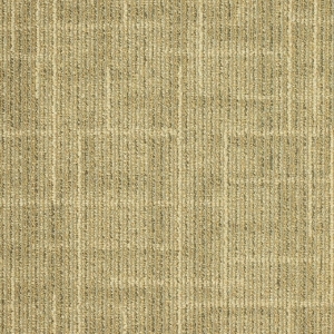 ModernOffice Carpet