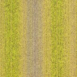 ModernOffice Carpet