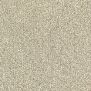 ModernOffice Carpet
