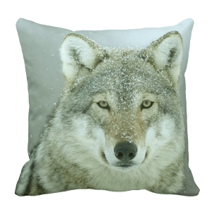 ModernPillow
