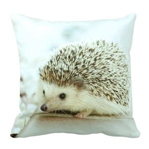 ModernPillow