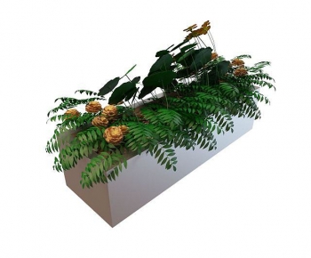 Modern Flower Bed, Flower Bowl, Flower Box-ID:925281056