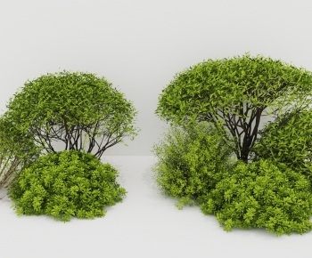 Modern Shrubbery-ID:876111988