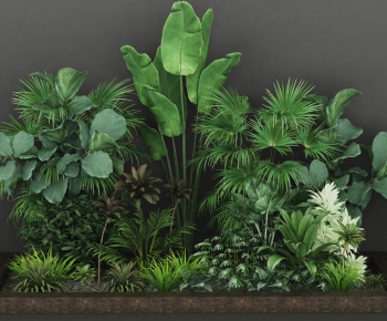 Modern Shrubbery-ID:559408903