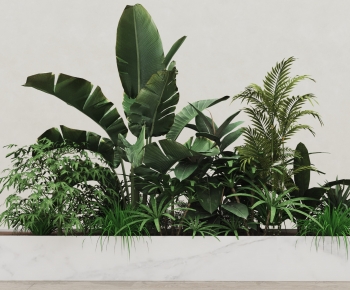 Modern Plant Landscaping-ID:575747976