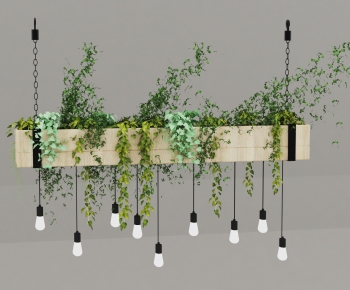 Modern Chlorophytum Comosum-ID:970608002