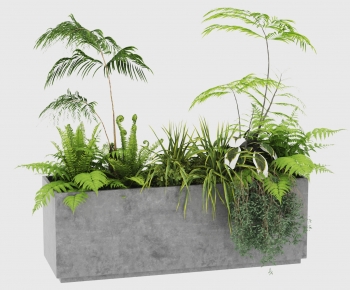Modern Flower Bed, Flower Bowl, Flower Box-ID:297199966
