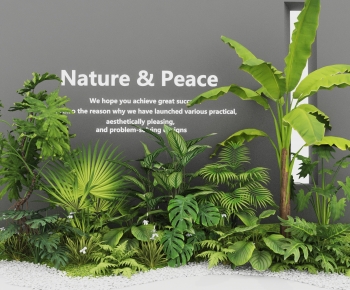 Modern Plant Pile-ID:332876929