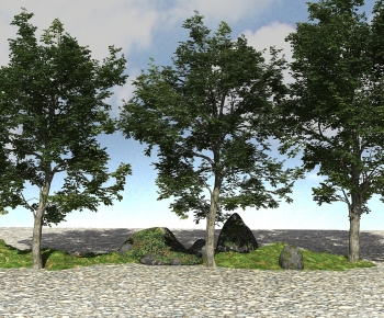 Modern Tree-ID:434950111