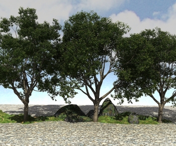 Modern Tree-ID:182785031