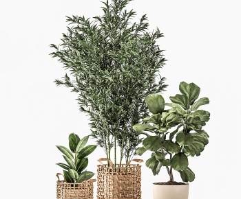 Modern Shrubbery-ID:772921094
