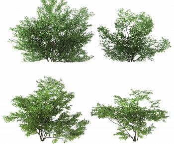 Modern Shrubbery-ID:570190093