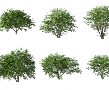 Modern Shrubbery-ID:280442004