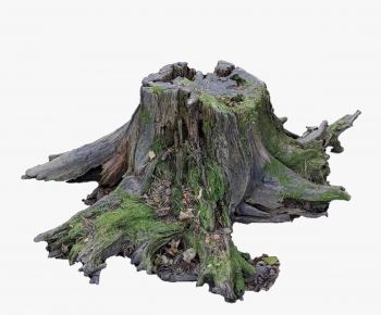 Modern Wood-ID:223783972