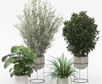 Modern Ground Green Plant Potted Plants-ID:102561955