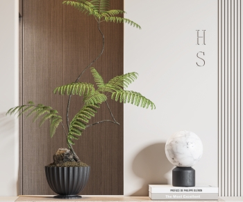 Modern Bonsai-ID:578761101