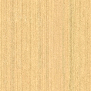ModernWood Texture