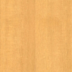 ModernWood Texture