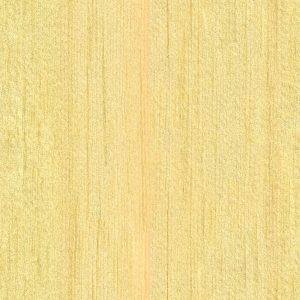 ModernWood Texture