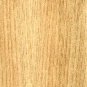 ModernWood Texture