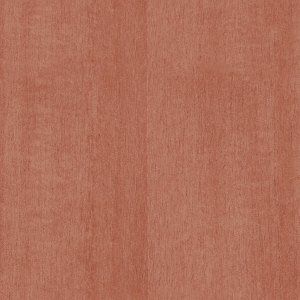 ModernWood Texture