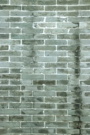 ModernStone Brick Wall