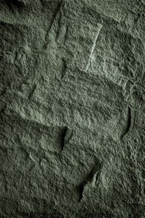 ModernStone Brick Wall