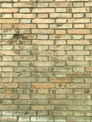 ModernStone Brick Wall