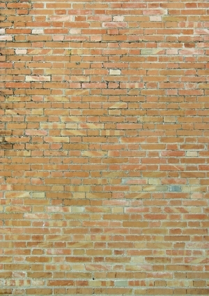 ModernStone Brick Wall