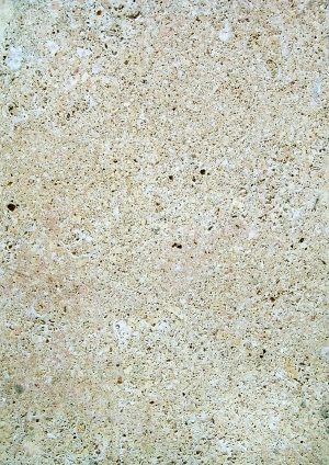 ModernStone Brick Wall