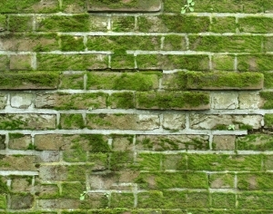 ModernStone Brick Wall
