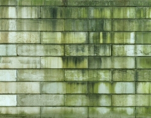 ModernStone Brick Wall