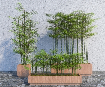 Modern Bamboo-ID:787846091