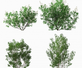 Modern Shrubbery-ID:943860055