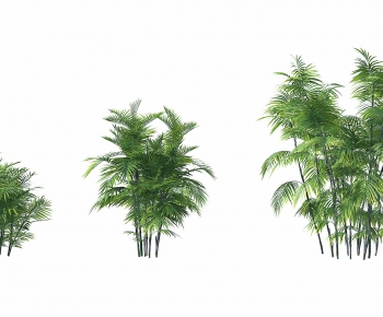 Modern Bamboo-ID:821182018