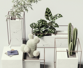 Modern Potted Green Plant-ID:995676997