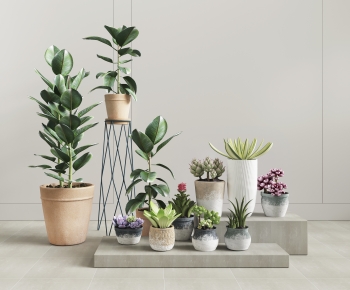 Modern Ground Green Plant Potted Plants-ID:470289954