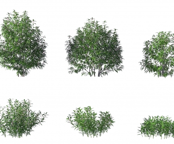 Modern Shrubbery-ID:678749187