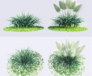 Modern Shrubbery-ID:933232079
