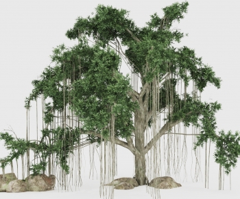 Modern Tree-ID:260401019