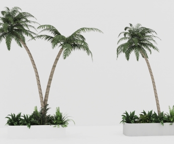 Modern Tree-ID:773117071