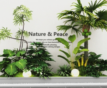 现代室内植物造景-ID:107532024