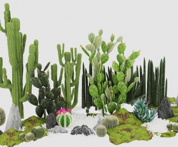 Modern Plant Pile-ID:437901974