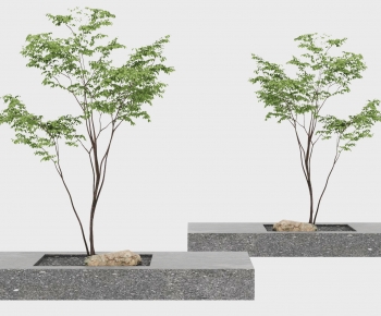 Modern Tree-ID:279757023