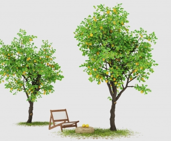 Modern Tree-ID:750976091