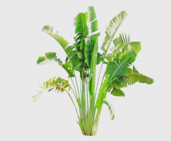 Modern Tree-ID:472417126