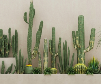 Modern Plant Landscaping-ID:643544912